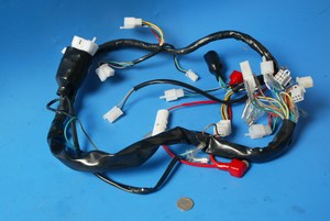 Wiring harness Moto Roma SK-125