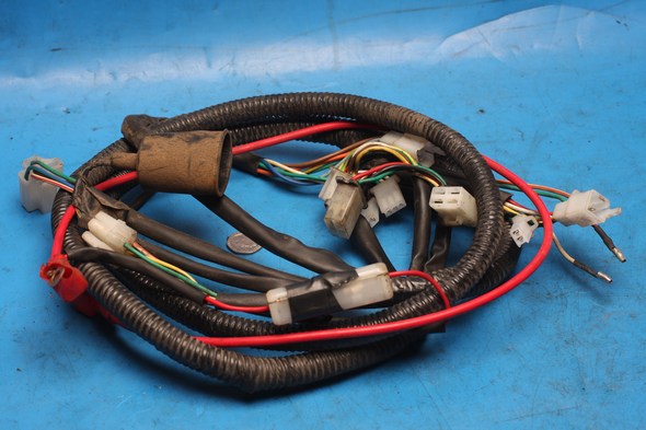 Wiring harness main Lexmoto Gladiator 125 used - Click Image to Close
