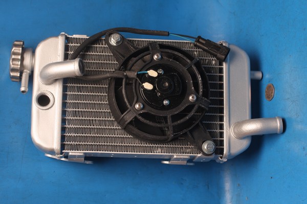 radiator & fan assy New for Trigger125
