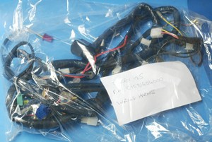 wiring harness PGO T-rex 50 Trex new C15816000001/2