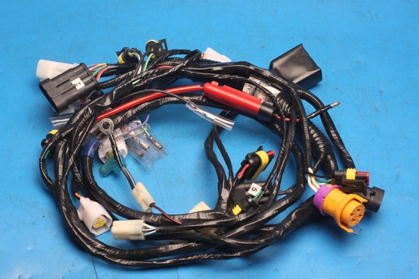 Wiring harness new Generic XOR125 F 92000T410002 - Click Image to Close