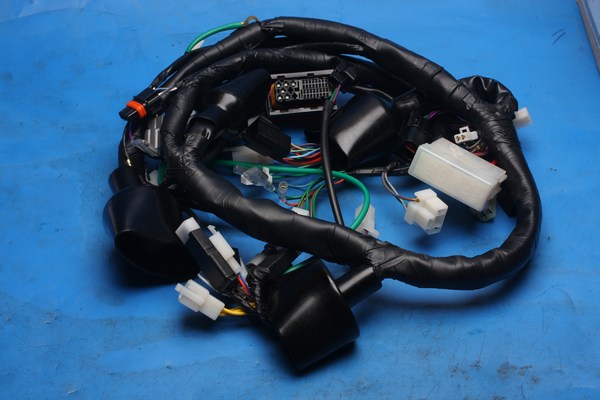 Wiring harness /loom Daelim Roadsport VJ125F VJF125 32100BA8RZ60